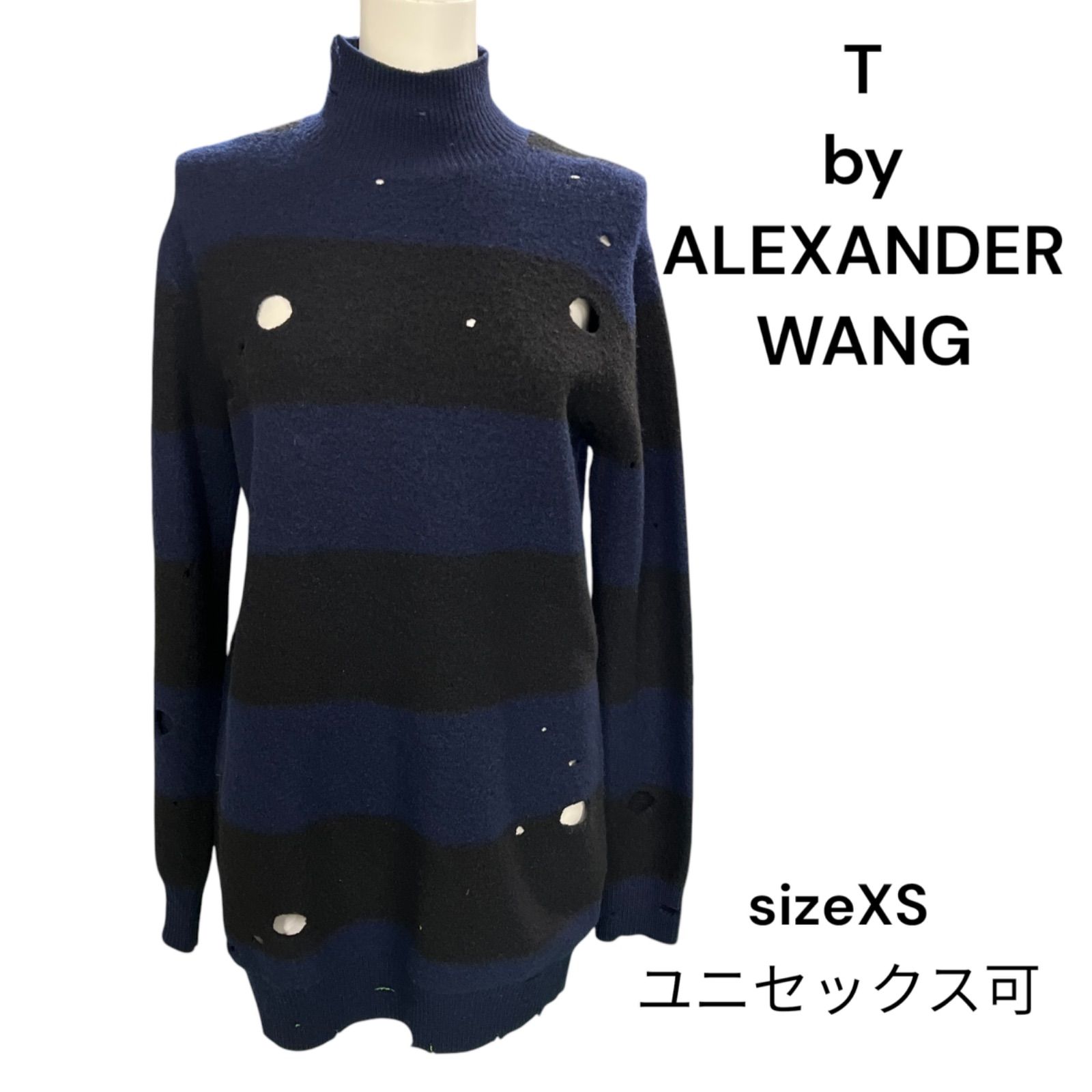 T by ALEXANDER WANG ダメージ風 ニット セーター XS ティーバイ 