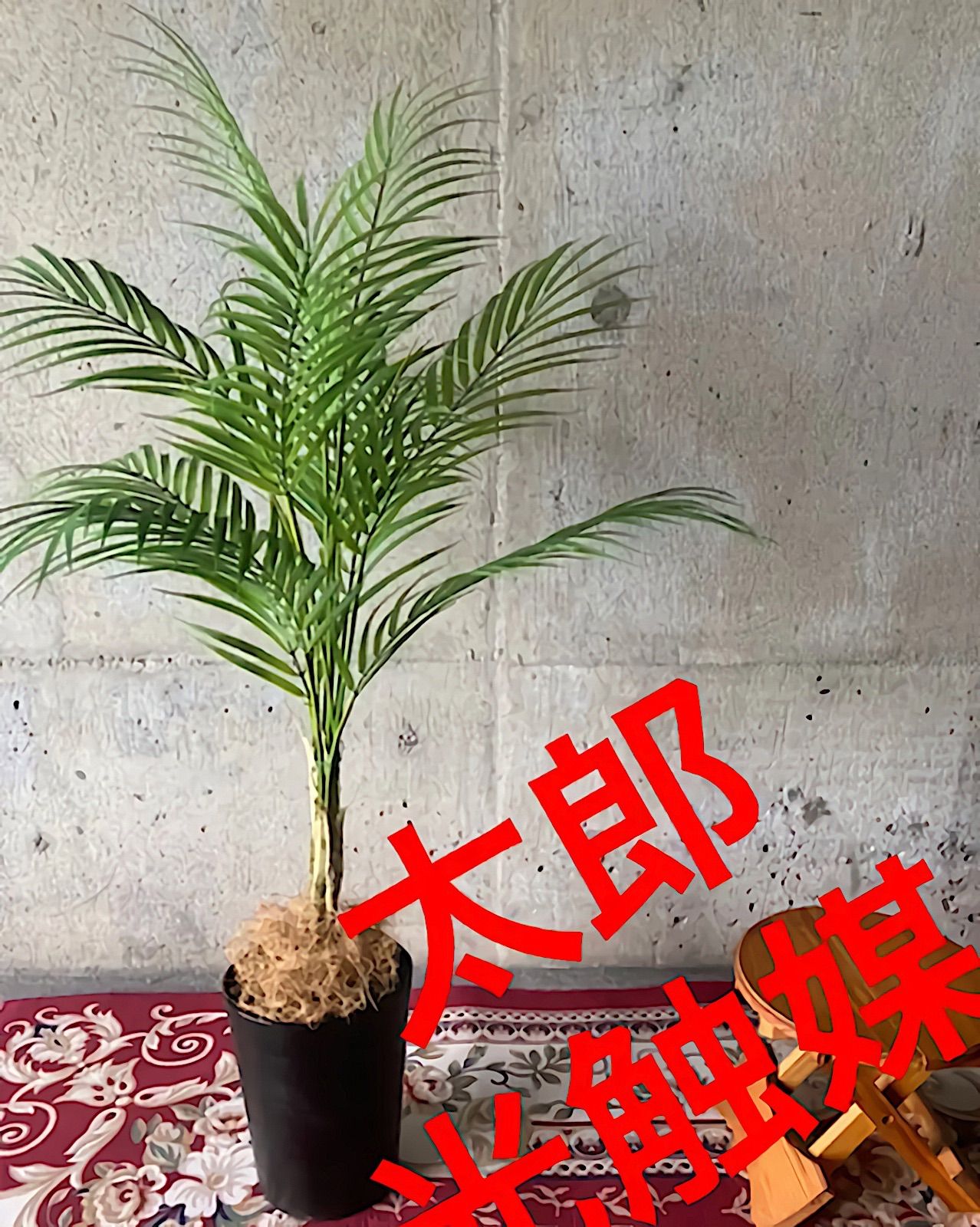 光触媒 人工観葉植物 ウォールグリーン フェイクグリーン ユッカ