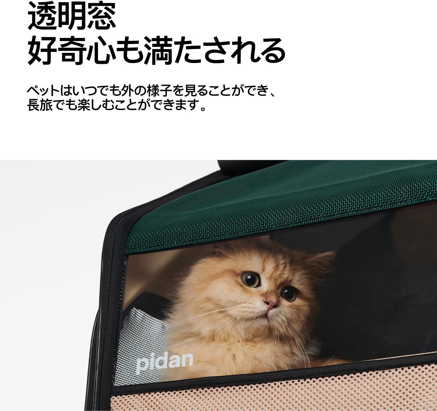 キャリー