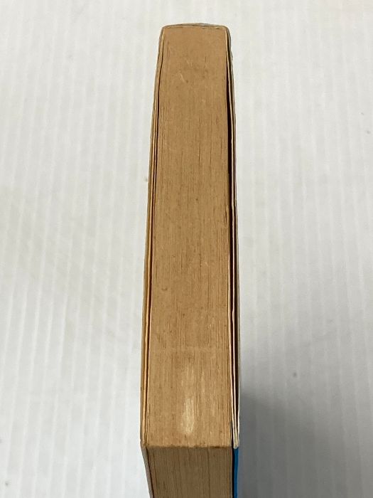 ポールを追いかけろ 集英社文庫 コバルトシリーズ 197-B カモメ物語 2 集英社 喜多嶋 隆 連載中 資産運用