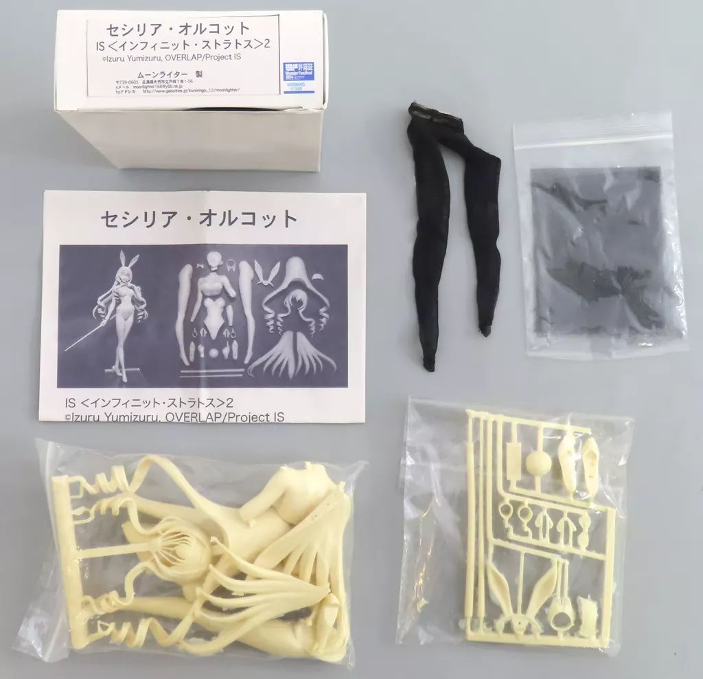 【値下げ】PSA9 アリソン・スカグリオッティ 衣装 世界に2枚 AZONE INTERNATIONAL::えっくす☆きゅーと