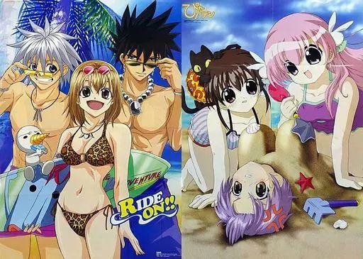 中古】ポスター B2両面ポスター(八つ折) 集合/集合 「RAVE/ぴたテン