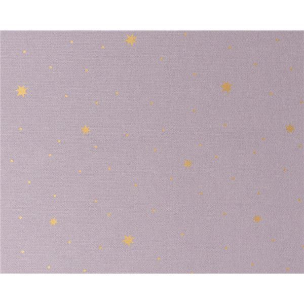 遮光カーテン 幅100cm×丈140cm 2枚 洗える 日本製 形状記憶加工 アジャスターフック タッセル付き 遮光 カーテン ステラ LA