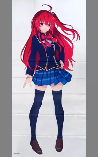 ポスター 等身大布ポスター 彩園寺更紗 DMMスクラッチ! ライアー ライアー A-2賞