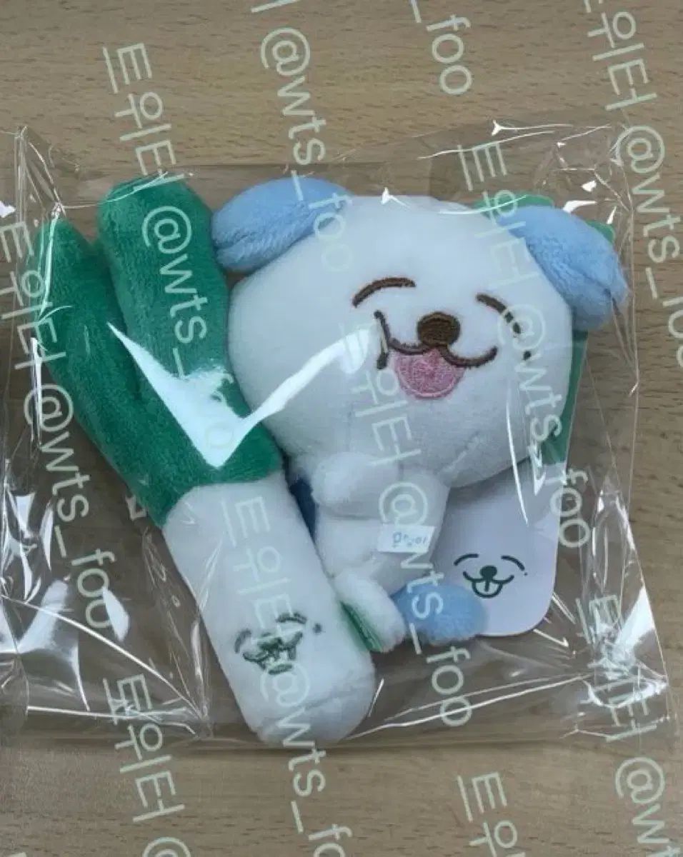 (未開封) ゼノ ムオン グリーンオニオン 人形 ぬいぐるみ ぬい Daepaz nct dream