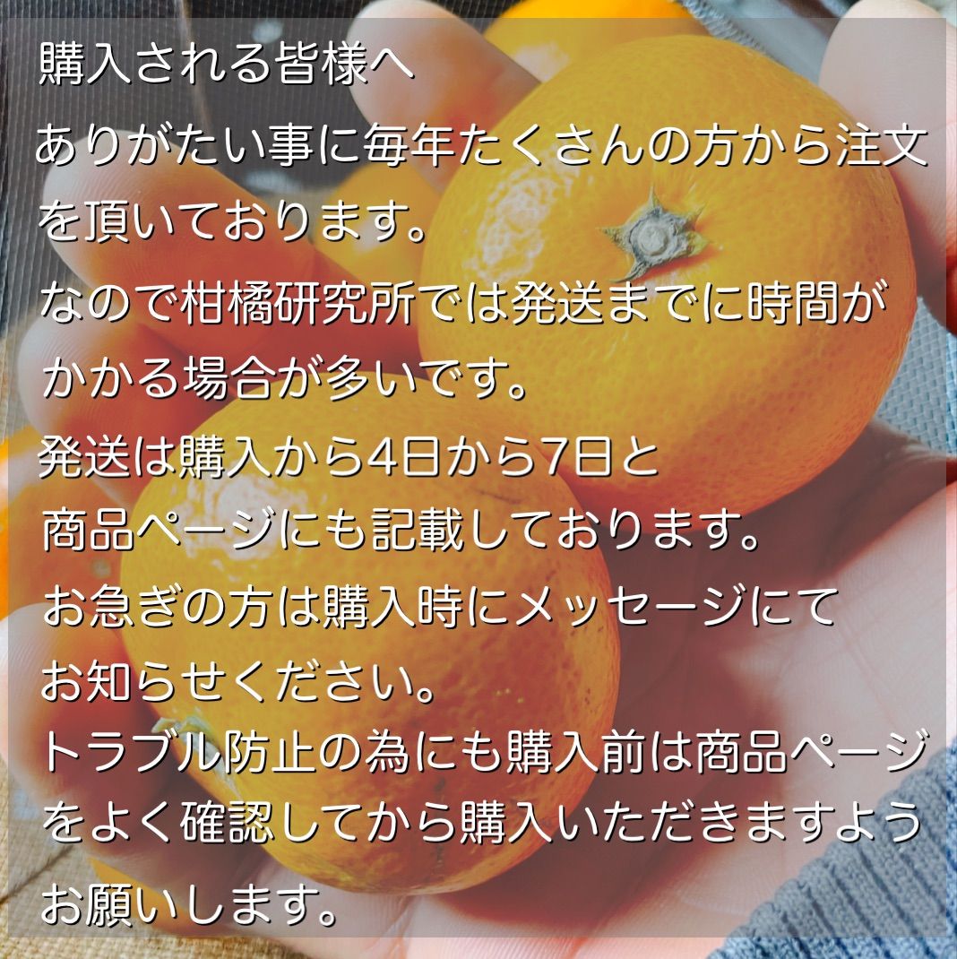 のサムネイル