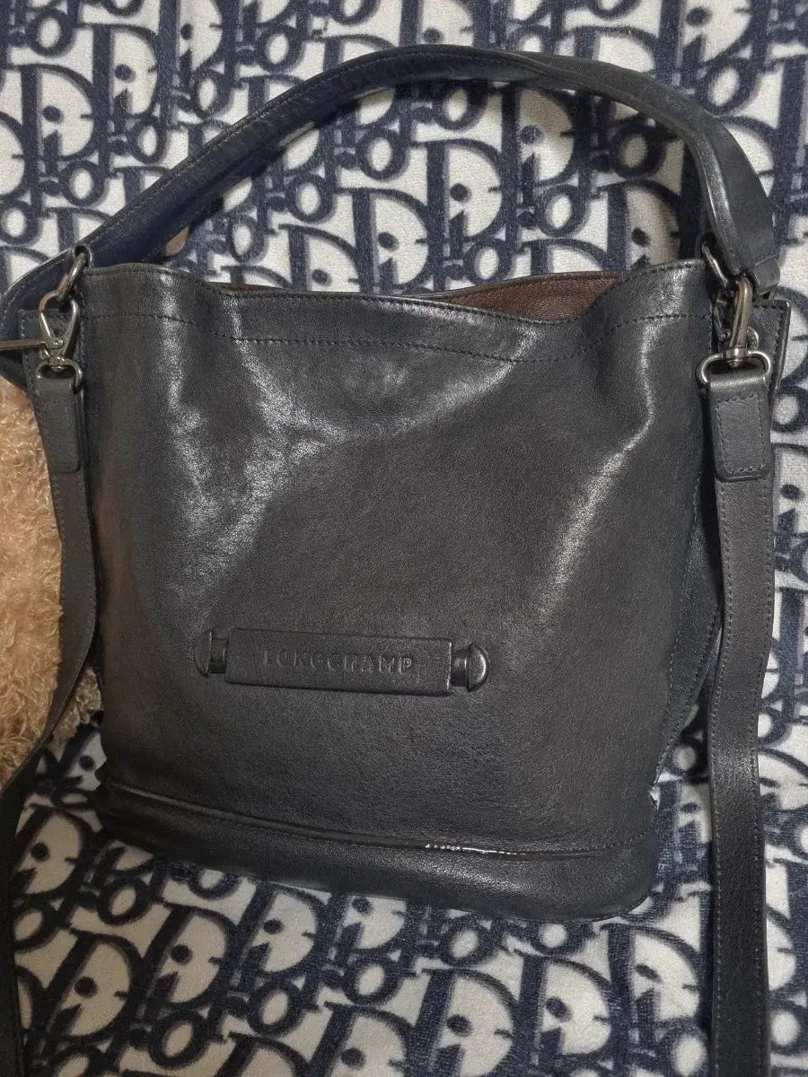 Longchamp ロンシャン 3D ボディ クロスバッグ