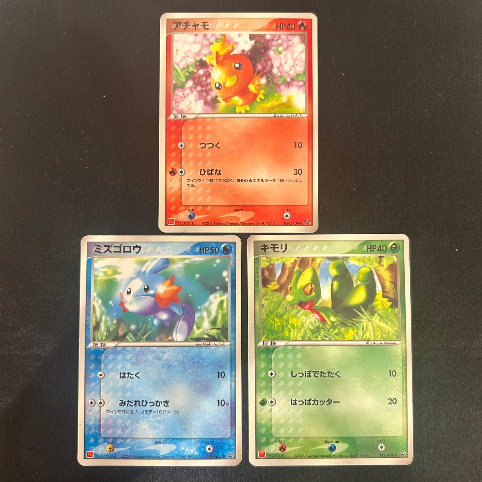 ポケモンずかんカード キモリ&アチャモ&ミズゴロウ プリズム-旧