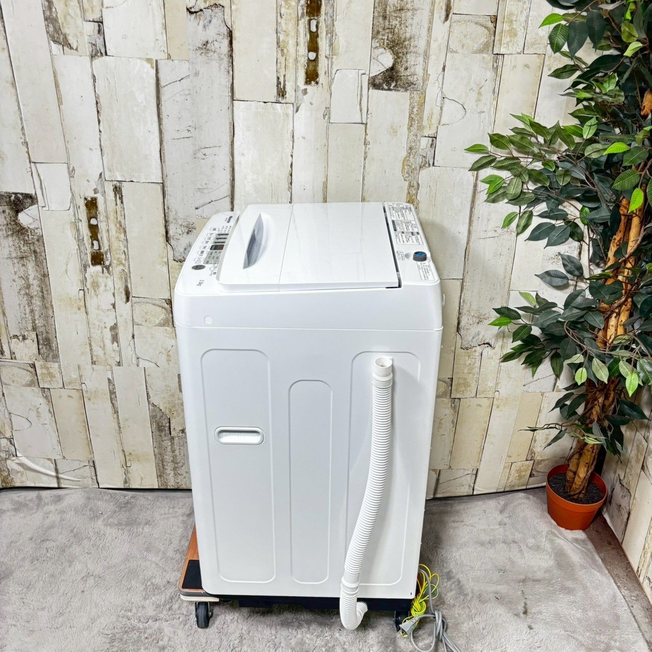 2022年製】 Hisense ハイセンス HW-E5504 洗濯機 5.5kg 【公式通販】
