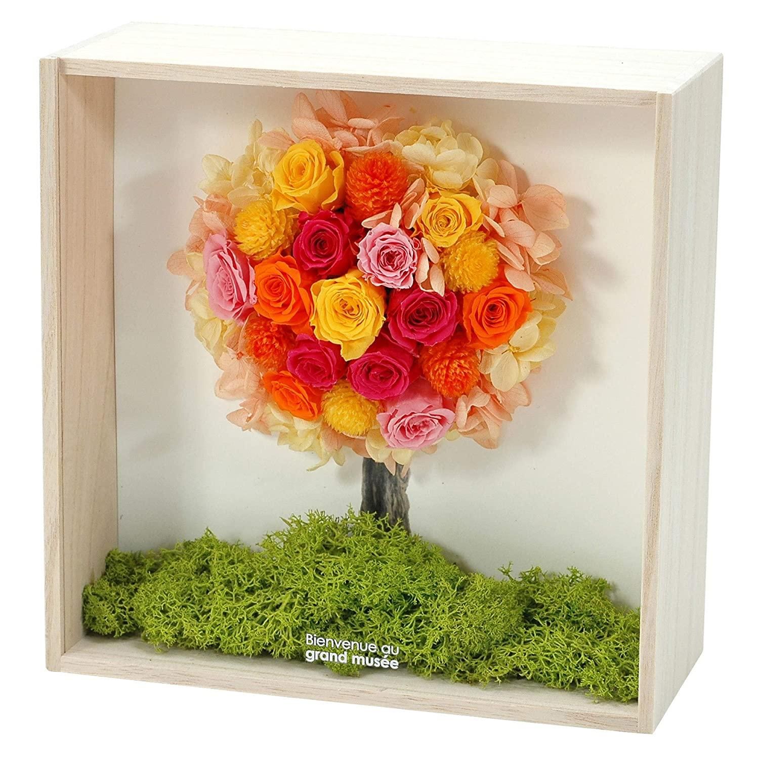 新品・3営業日で発送】grand musee グランミュゼ grand musee