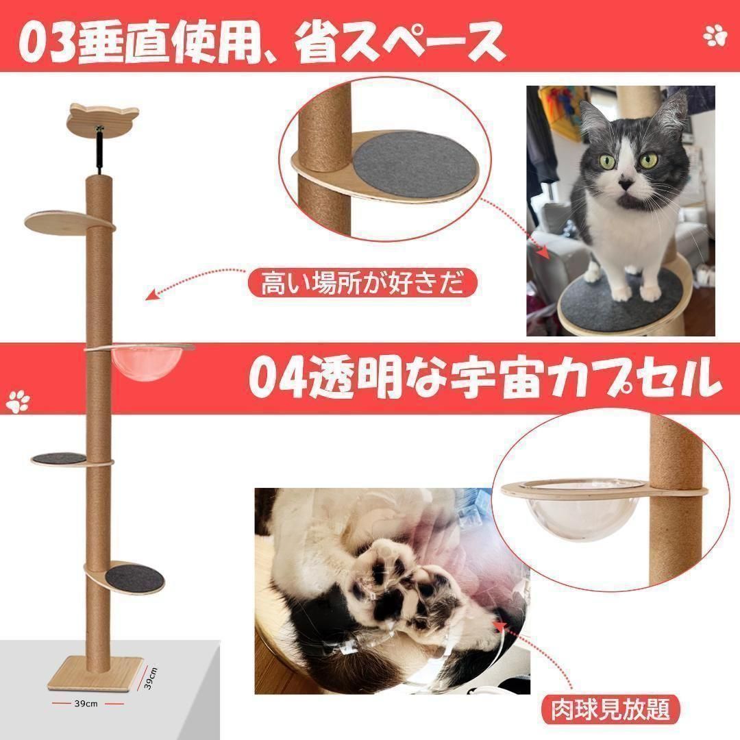 高さ240-257cm対応