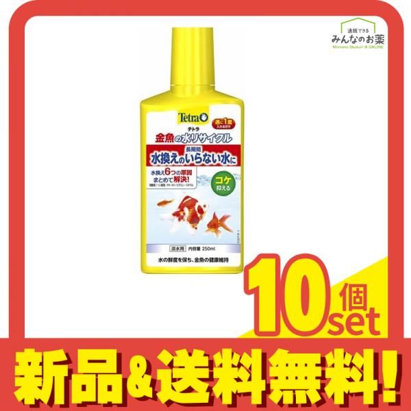 Tetra テトラ 金魚の水リサイクル 250mL 10個セット