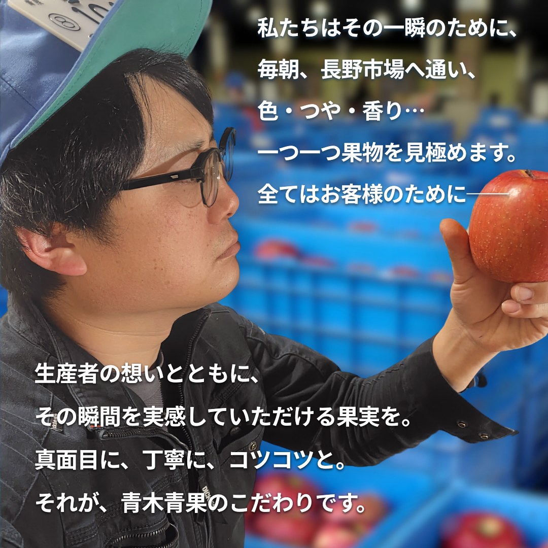 小玉あんず～杏シロップ・杏酒用～【内容量】約1.8kg【配送方法】クール配送【サイズ】L以下【品目】杏（あんず）【品種】当店お任せ【産地】長野県【規格】ご家庭用A品B品混合【詰め方】バラ詰め【配送までの日数】1～4日