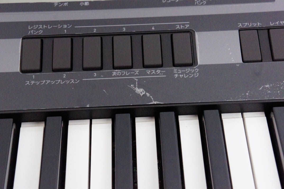 CASIOカシオ ベーシックキーボード 電子キーボード 76鍵 WK-220 【公式 