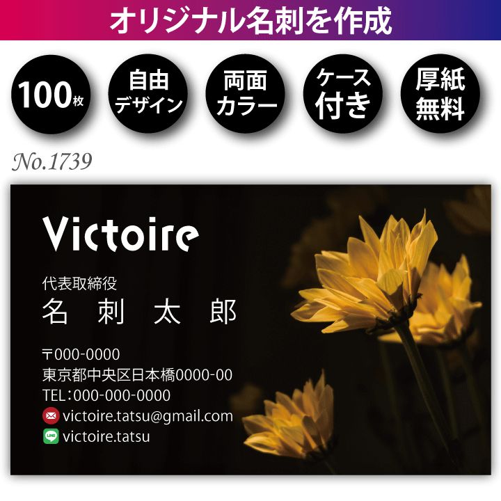 名刺作成 名刺印刷 100枚 両面 フルカラー 紙ケース付 No.1733（名刺  