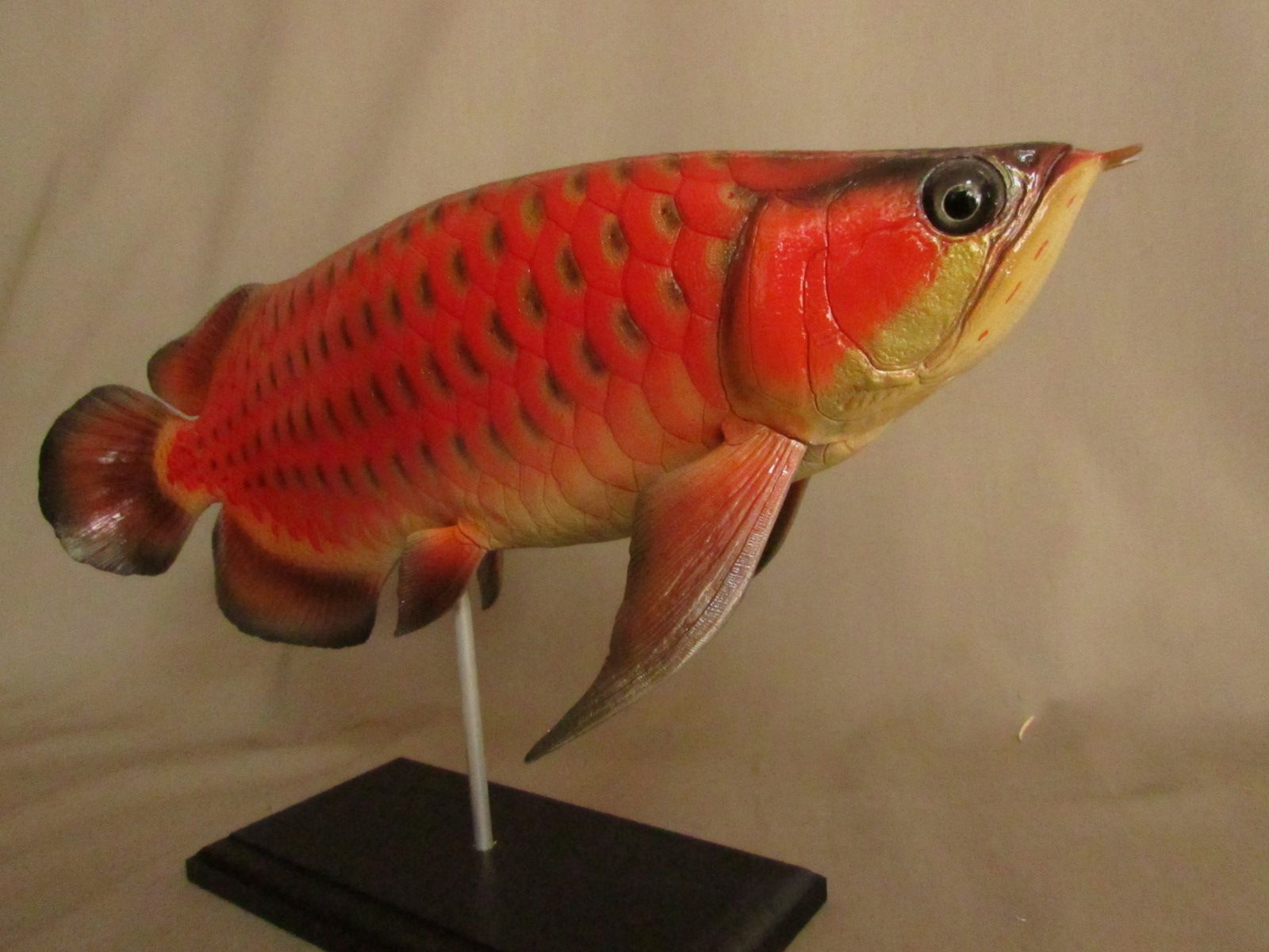 ハンドメイド ４０ｃｍアロワナ 置き物 オブジェ フィギュア 魚模型