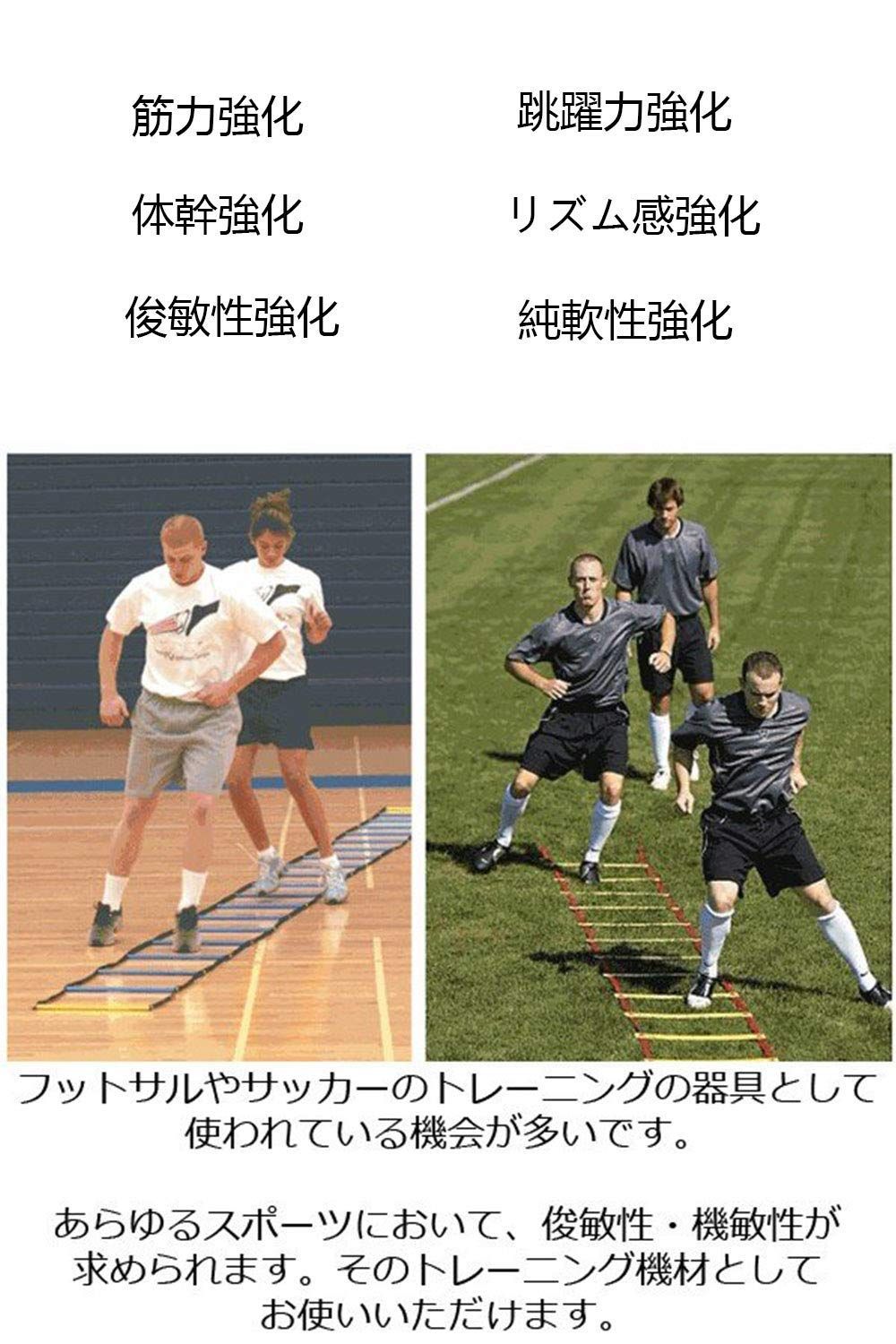 トレーニングラダー 3m 6段 体幹 アジリティー スピードラダー 通販