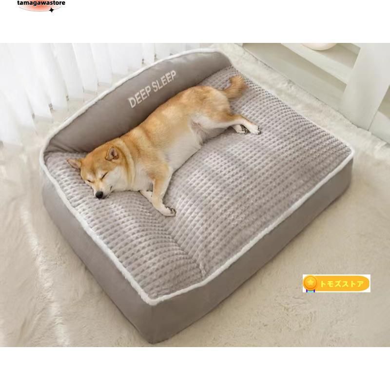 ペット 柴犬