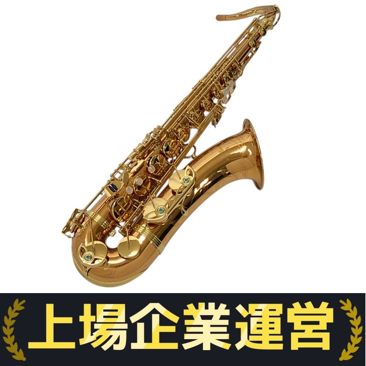 Yanagisawa T-WO2 テナー サックス ブロンズブラス 管楽器 音楽