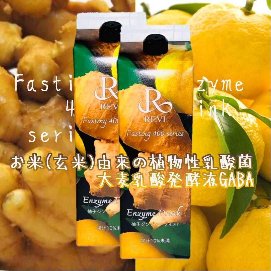 ザファスティング 酵素ドリンク2本セット The Fasting ザ