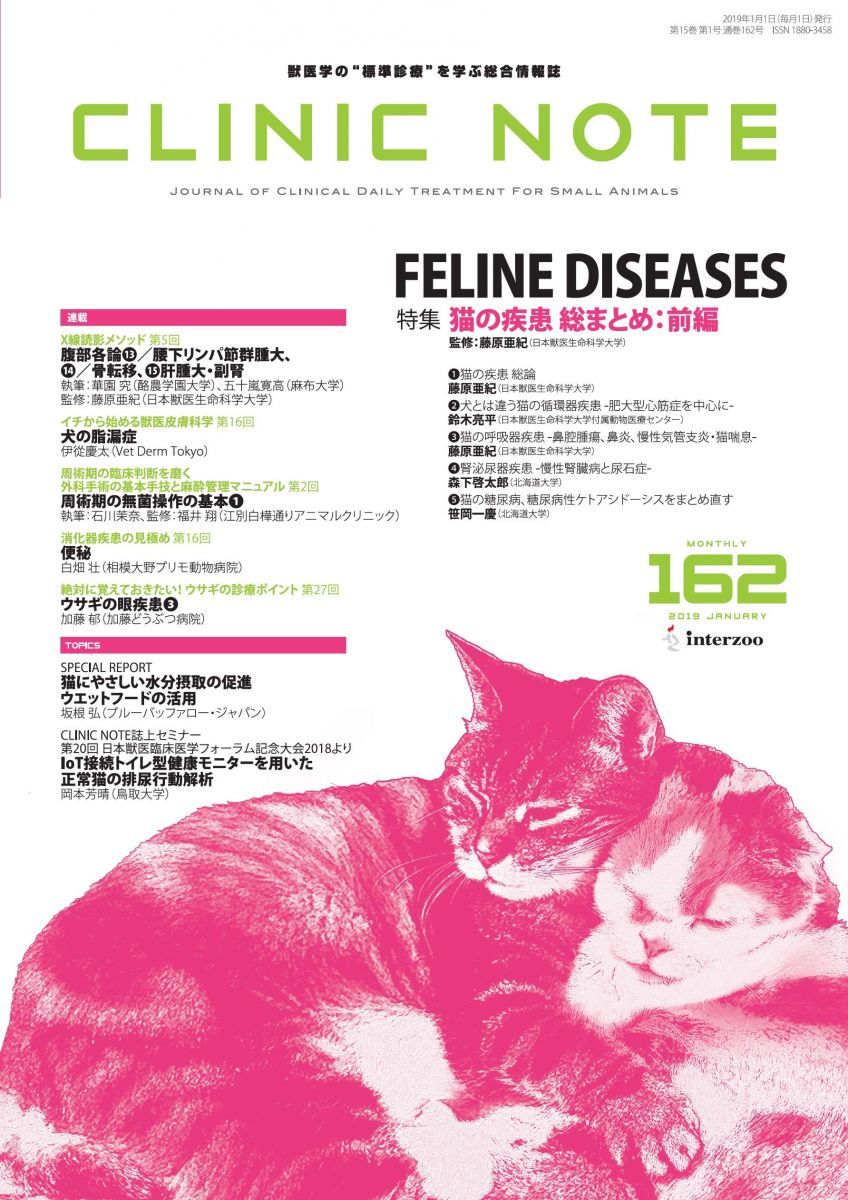 総合情報誌 CLINIC NOTE 2019年1月号 (特集:猫の疾患 総まとめ：前編) 総合情報誌 CLINIC NOTE 2019年1月号 (特集:猫の疾患 総まとめ