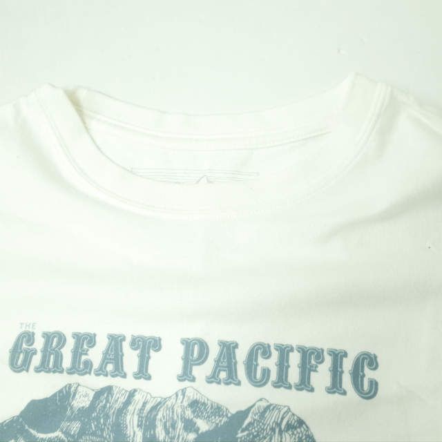 PATAGONIA GREAT PACIFIC IRON WORKS TEE