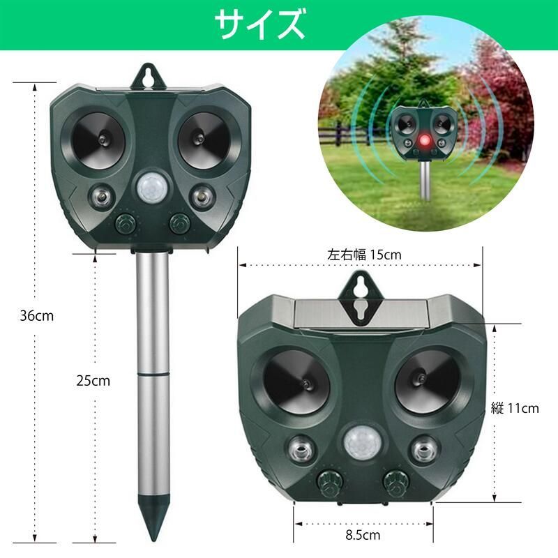 ネコ