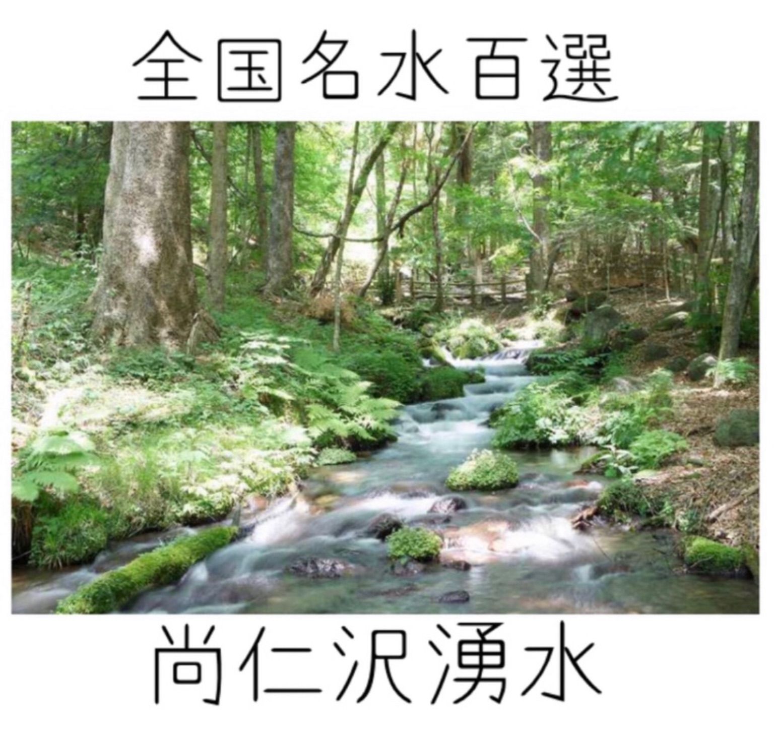のサムネイル