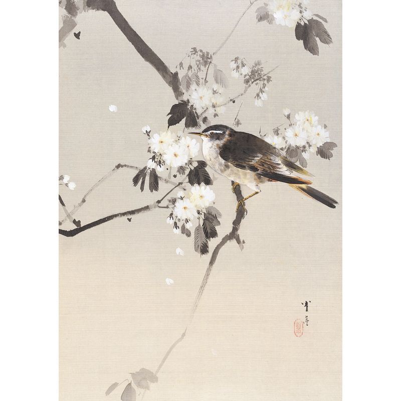 A4サイズ 渡辺省亭 ポスター 花鳥魚鰕画冊 目白図 花鳥画 日本画