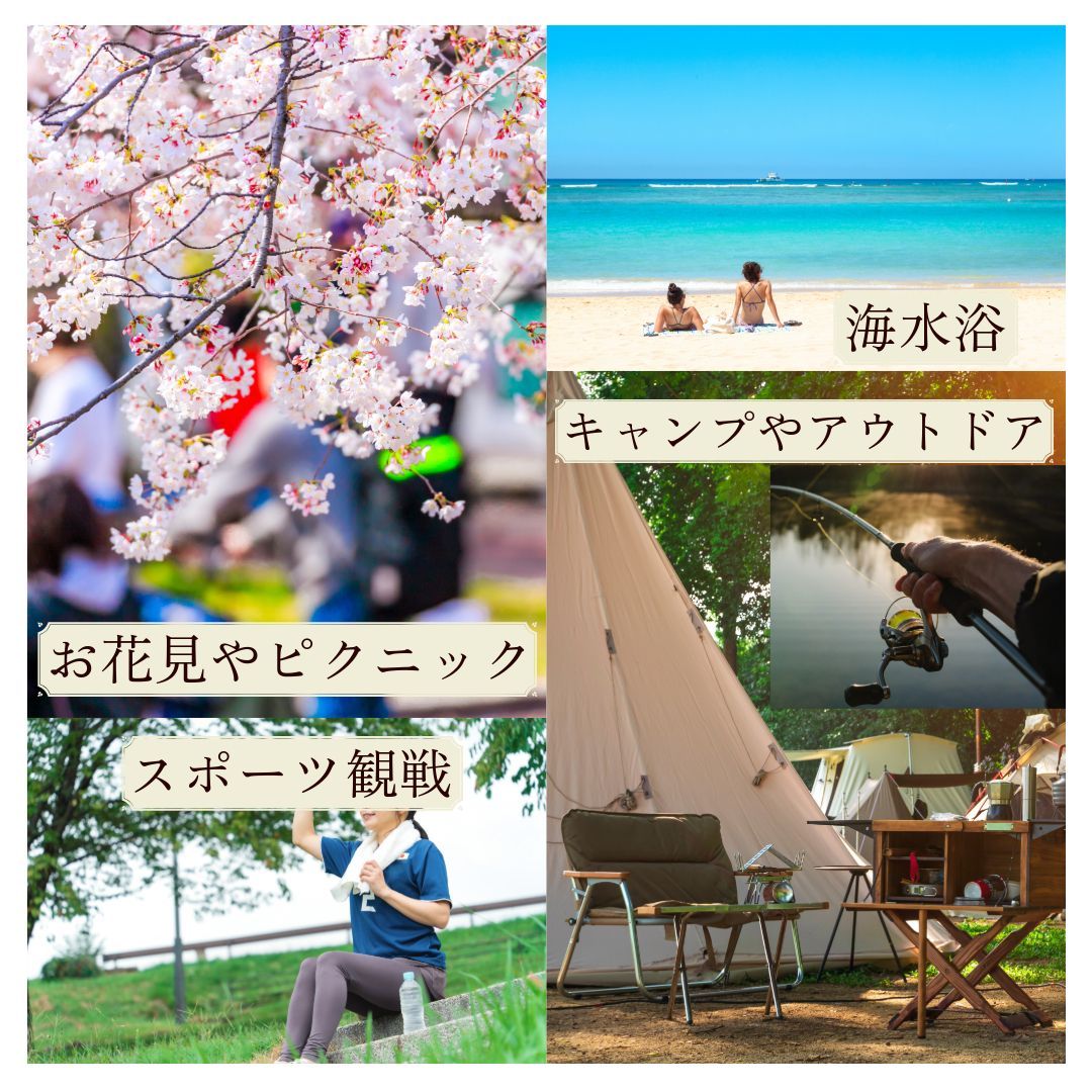 屋根付 スポーツ観戦