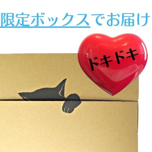 のサムネイル