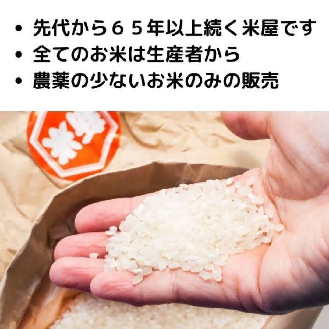 お米◇新米コシヒカリ◇白米20キロ◇お買い得◇減農薬◇20kg | www