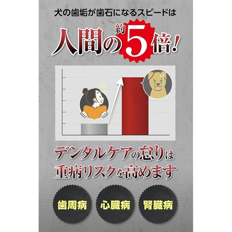オーラルケア CLEAN WAN クリーンワン 犬 歯磨き ジェル 歯石取り 歯石