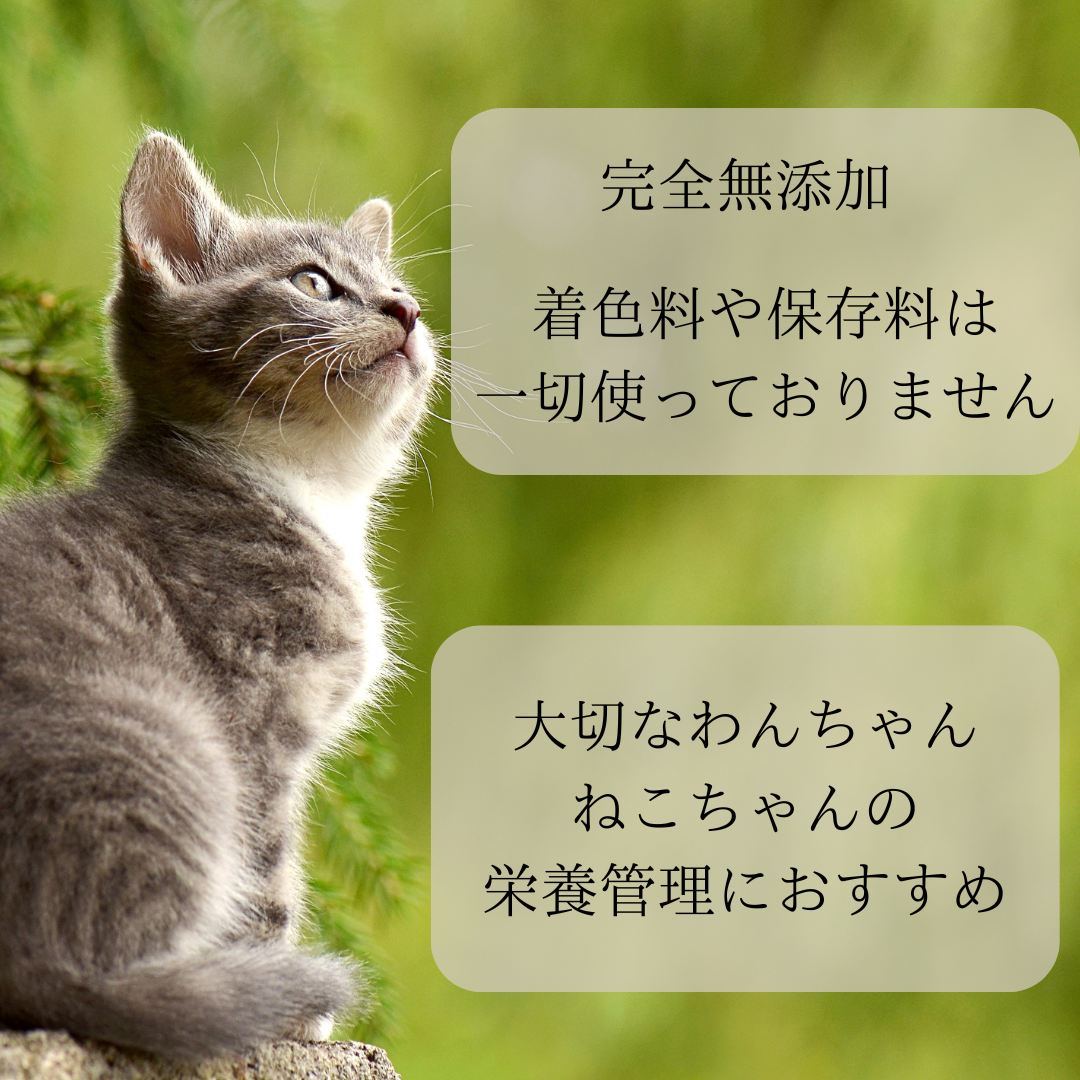 オープン記念特価！完全無添加・国産鹿肉ジャーキー