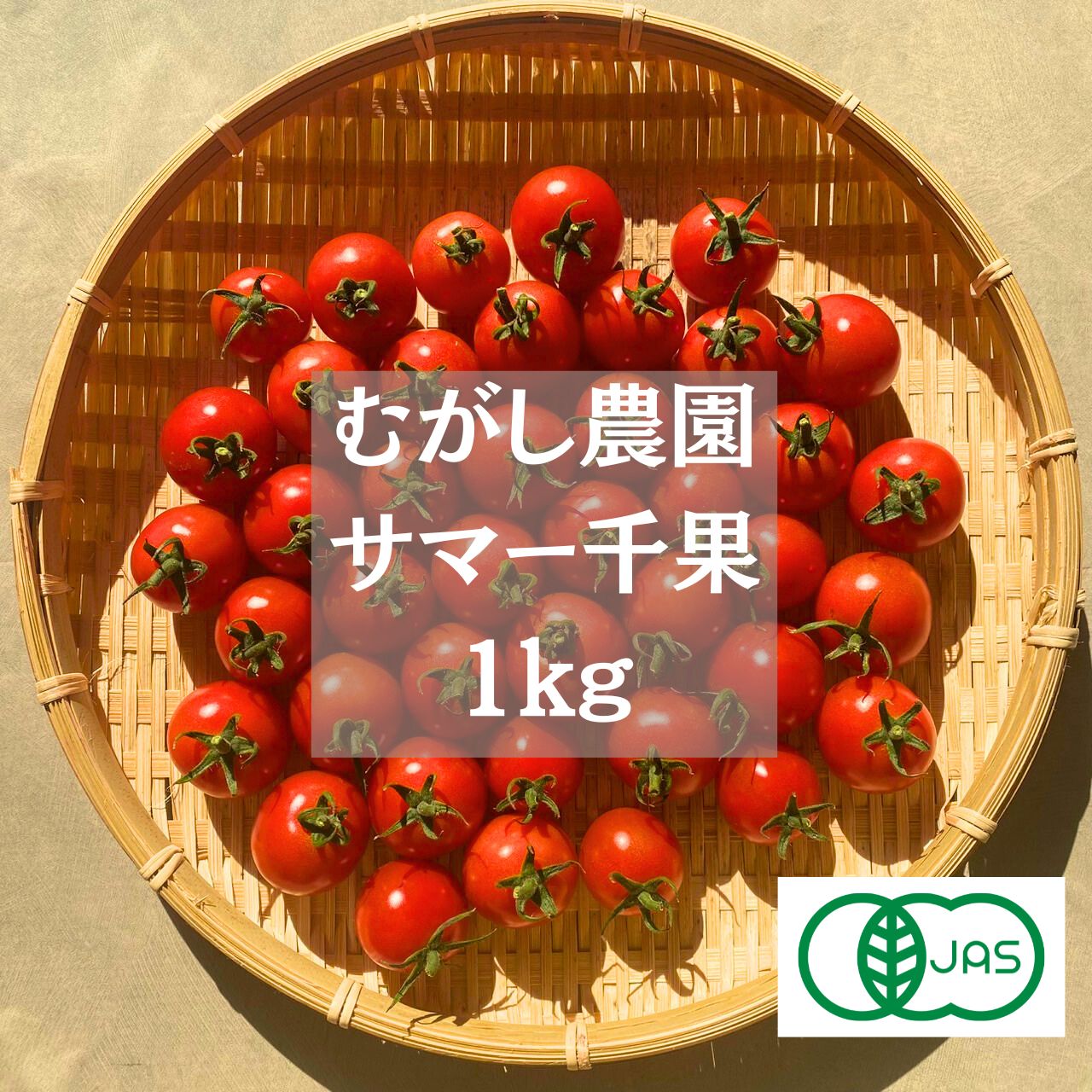 青森県産★ミニトマト専用 青森県産】 有機JAS認証 ミニトマト サマー 千果 約1kg