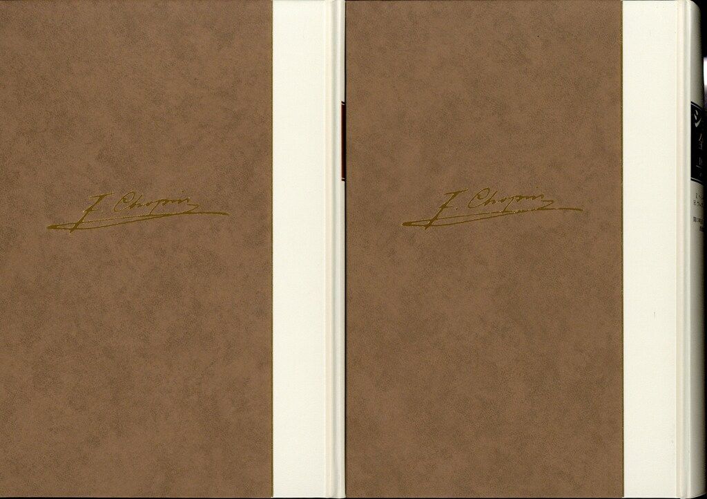 ショパン 全書簡 1836〜1839年 パリ時代(下) 岩波書店