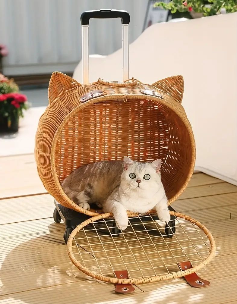 小動物 持ち運び簡単