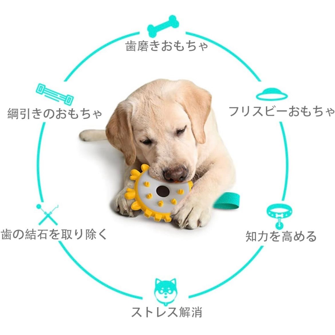 フリスビー 柔らかい 歯を保護する 犬 おもちゃ 投げるおもちゃトレーニング ペッと玩具 シリコン製 投げるおもちゃ ペット フリスビー キャンプ 円盤