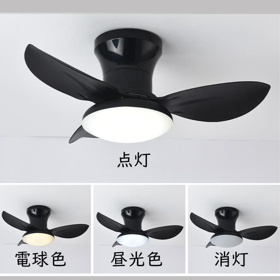 軽量 扇風機