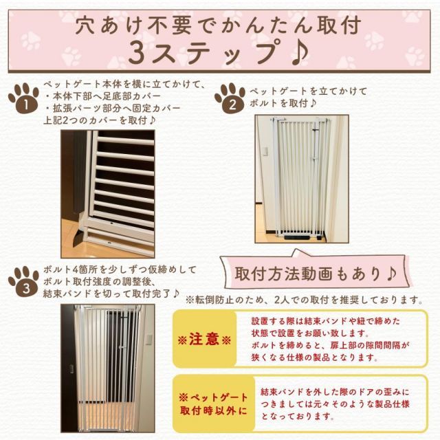 犬