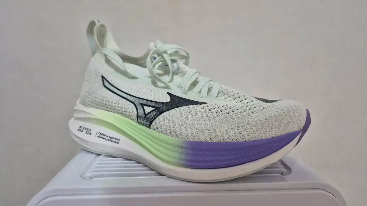 mizuno ミズノ ネオジェン ウィメンズ 250 ランニングシューズ