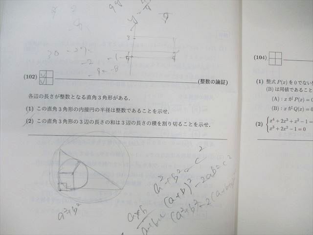SEG (科学的教育グループ) 大学入試基本演習FｰIII 数学テキスト 2023 I・II期 金子裕 022S0D SEG (科学的教育グループ) 大学入試基本演習FｰIII 数学テキスト