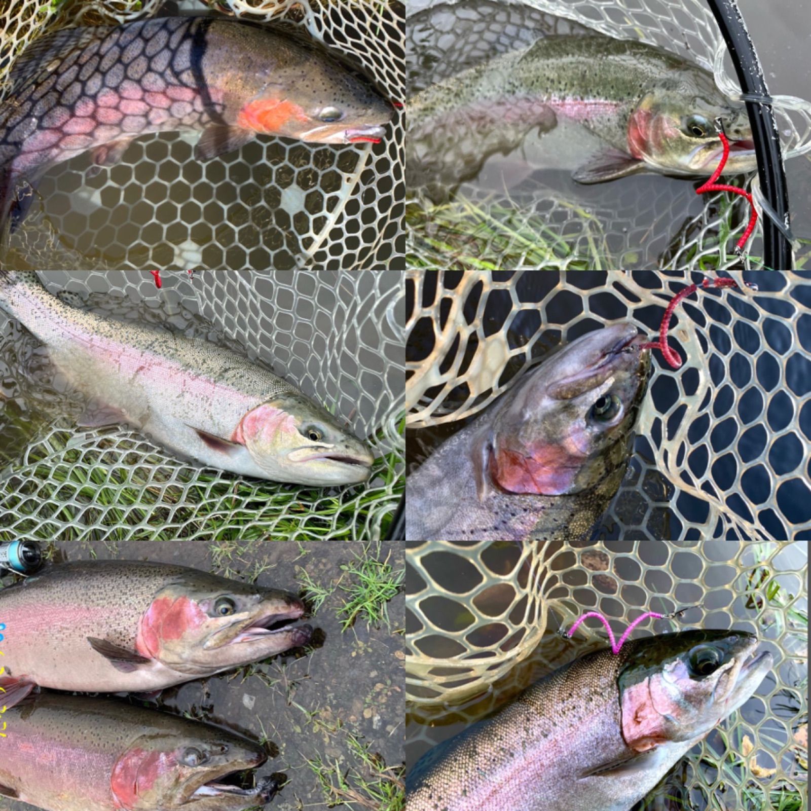 【数量限定！】管釣り エリアトラウト 海鱒スパイラルルアー Hunter 爆釣カラー！】エリアトラウト 管釣り 海鱒スパイラルHunter2本