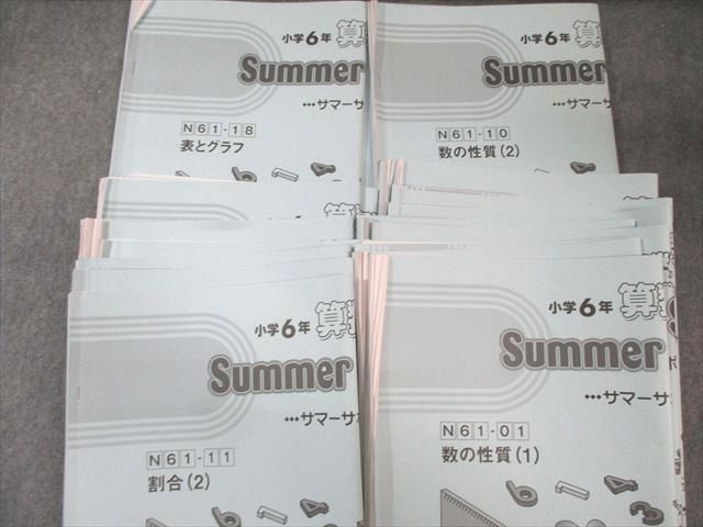 SAPIX 小6 サピックス デイリー/サマー/サポート 通年セット