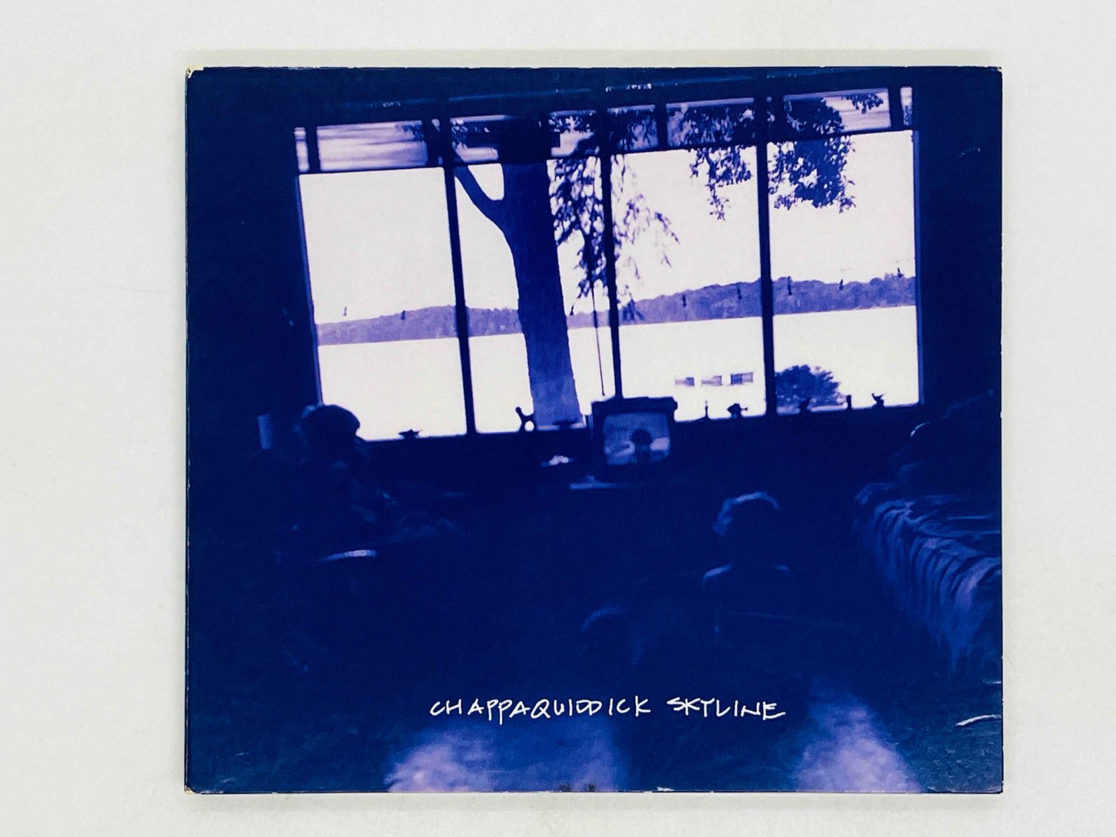 CD JOE PERNICE / CHAPPAQUIDDICK SKYLINE / ジョー・パーニス
