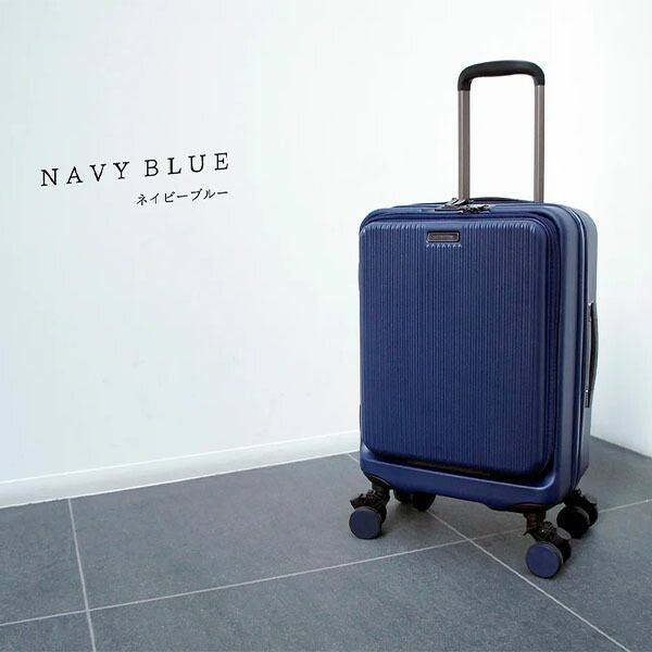 機内持込