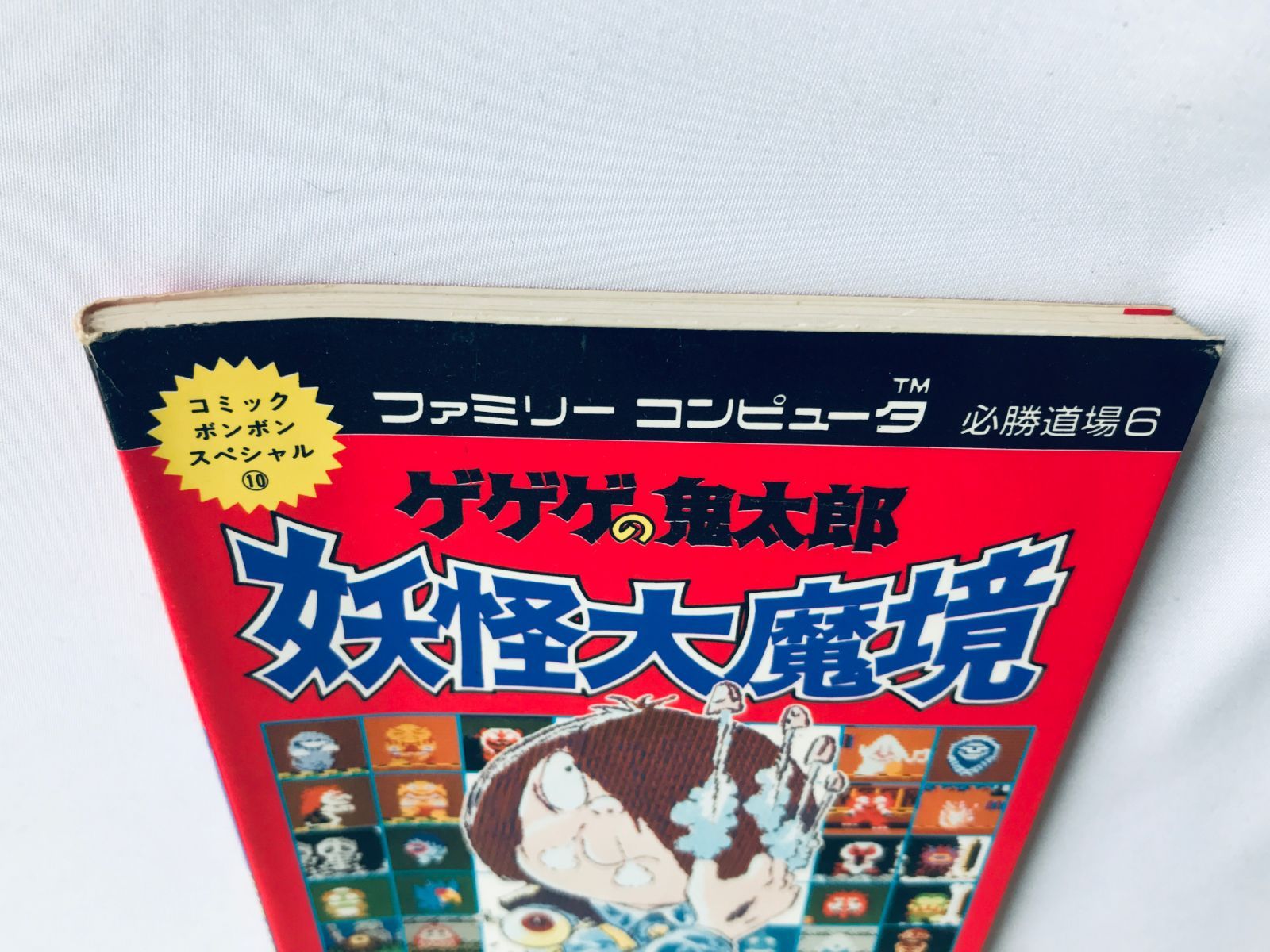 ガイド 初版
