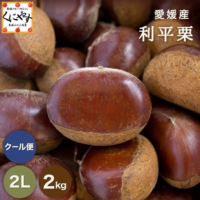 ☆最高峰の幻の栗 深い香りと濃厚な甘み☆【予約品】9月下旬以降