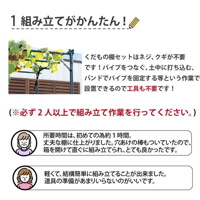 果物棚