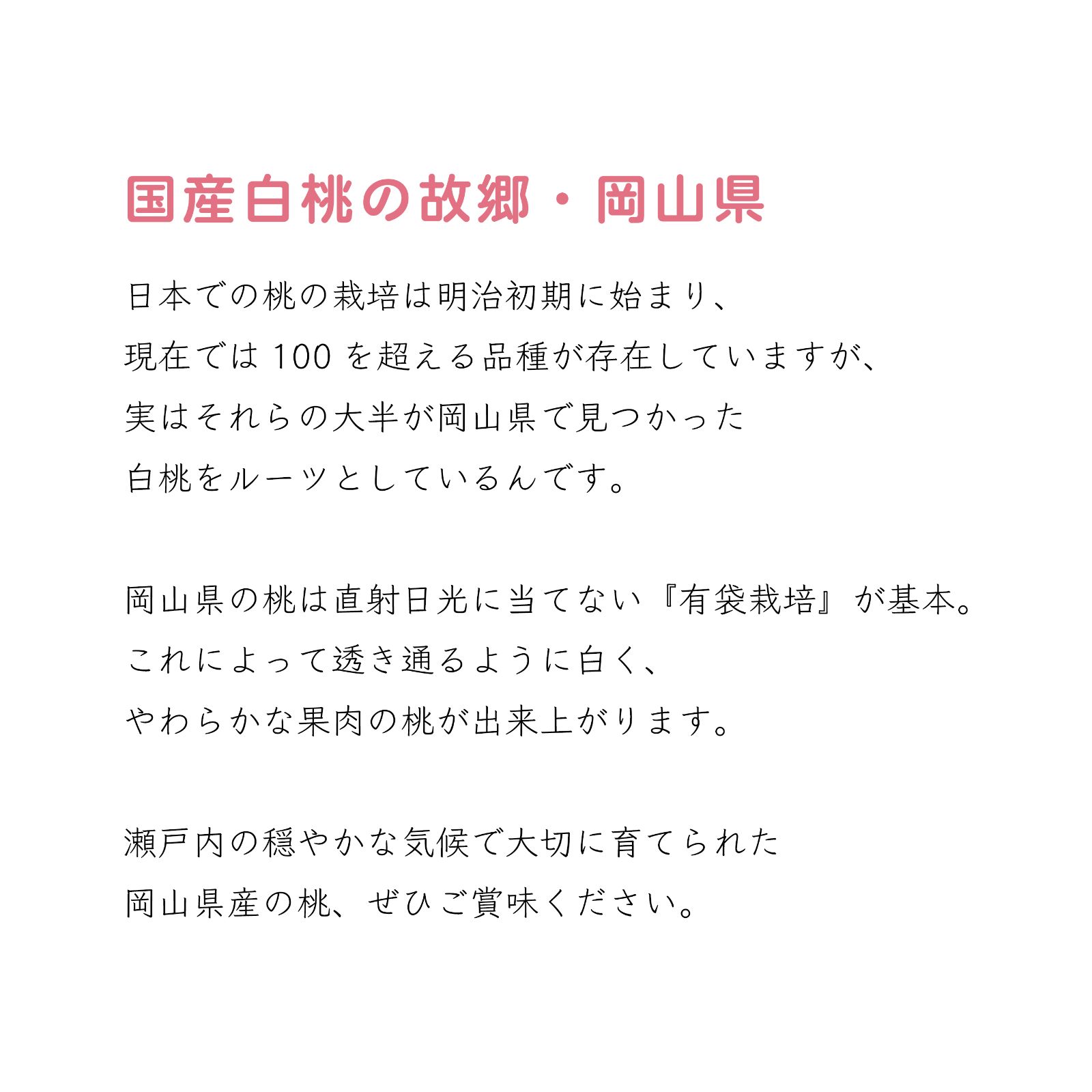岡山産 白桃